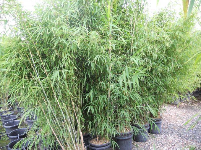 06b6c1eb-e1d2-408d-d59f-c9c5338dee15