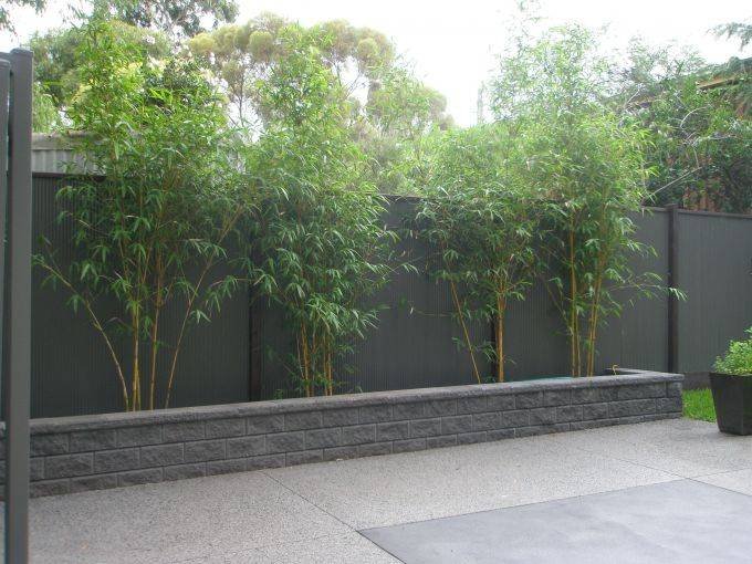 0be3a54d-0141-4157-f5e4-cbc0a64ce483