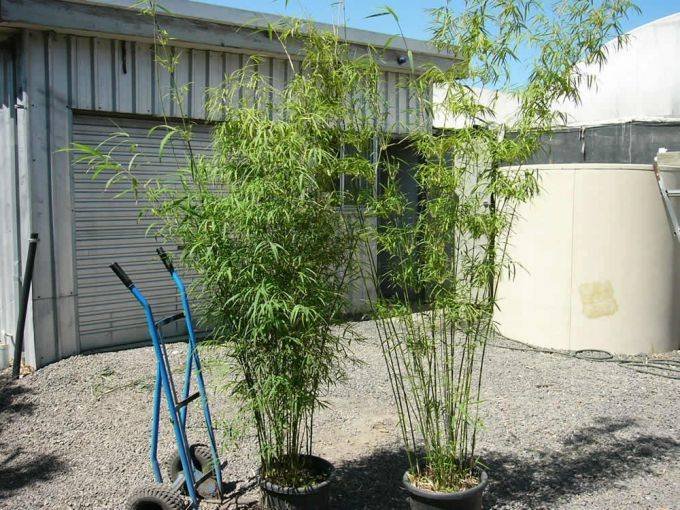 1a46b59e-2e58-46b4-a81e-1ce242e1695c