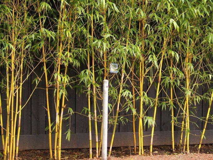 2596062d-1857-4e36-973f-9160ada87f7c