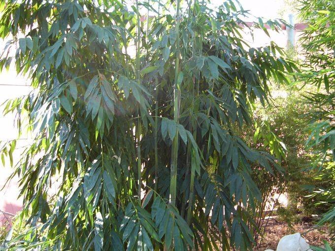 aee5e3f9-2105-43ac-8cc8-beddae790c3e