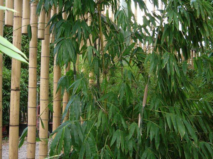 c8996a58-bdf7-459e-951a-0e21c246753f