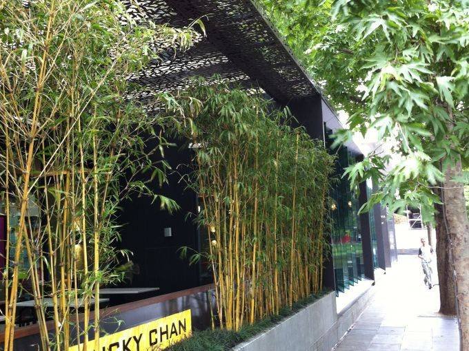 ca9e076e-dc35-4d77-ce0c-096c68130b56