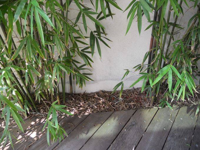 e0f5eb22-74bf-49a4-b2f9-9014ea171afb