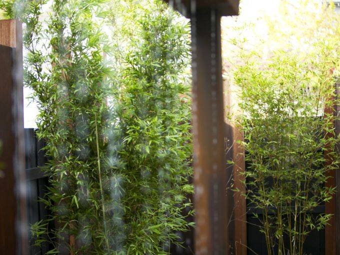 e48e764c-c430-4d80-e5b3-20d4011bd9a6