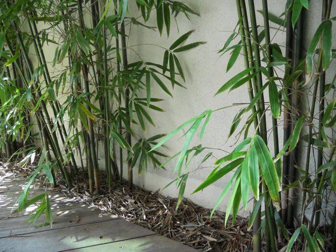 f2d5d150-c4b9-48ec-ac95-5e0db15779c5