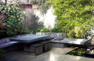 gracillis2-1-383x250